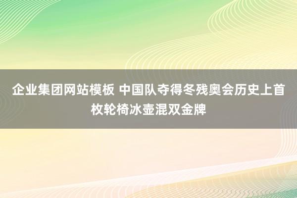 企业集团网站模板 中国队夺得冬残奥会历史上首枚轮椅冰壶混双金牌