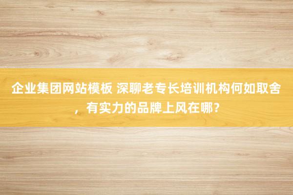 企业集团网站模板 深聊老专长培训机构何如取舍，有实力的品牌上风在哪？