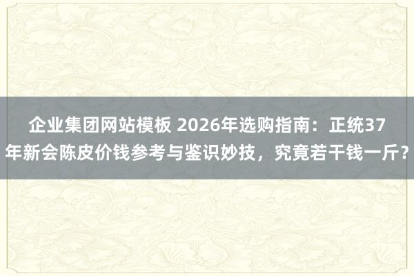 企业集团网站模板 2026年选购指南：正统37年新会陈皮价钱参考与鉴识妙技，究竟若干钱一斤？