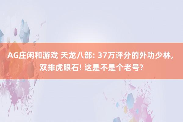 AG庄闲和游戏 天龙八部: 37万评分的外功少林， 双排虎眼石! 这是不是个老号?