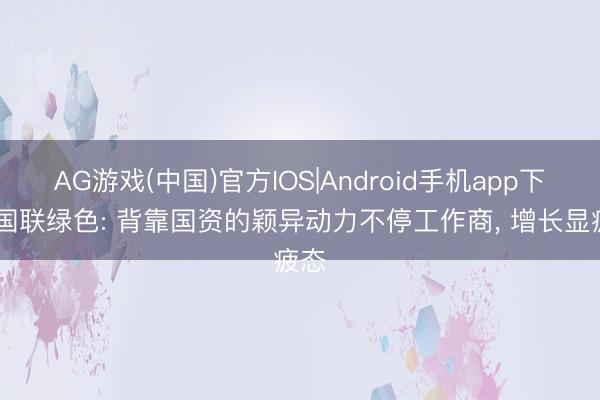AG游戏(中国)官方IOS|Android手机app下载 国联绿色: 背靠国资的颖异动力不停工作商， 增长显疲态