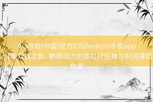 AG游戏(中国)官方IOS|Android手机app下载 储能双雄之影: 鹏辉动力的高杠杆狂舞与利润薄如蝉翼