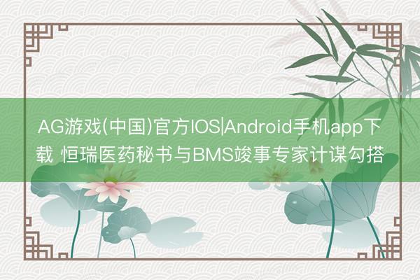 AG游戏(中国)官方IOS|Android手机app下载 恒瑞医药秘书与BMS竣事专家计谋勾搭
