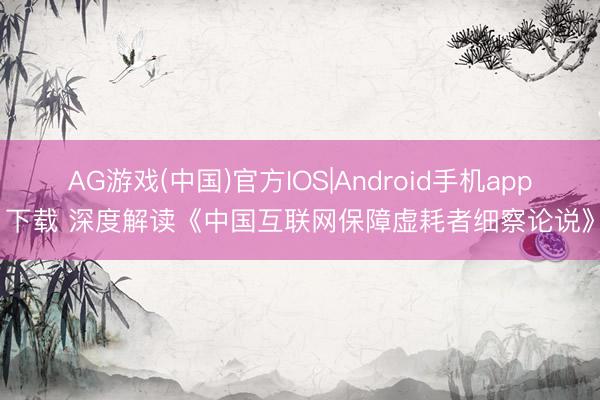 AG游戏(中国)官方IOS|Android手机app下载 深度解读《中国互联网保障虚耗者细察论说》