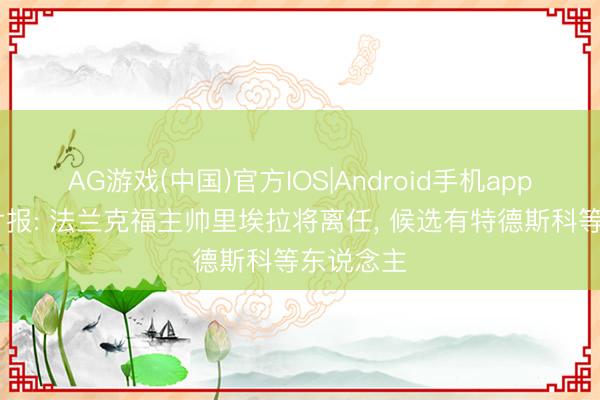 AG游戏(中国)官方IOS|Android手机app下载 图片报: 法兰克福主帅里埃拉将离任， 候选有特德斯科等东说念主