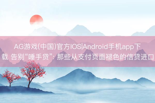 AG游戏(中国)官方IOS|Android手机app下载 告别“唾手贷”: 那些从支付页面褪色的信贷进口