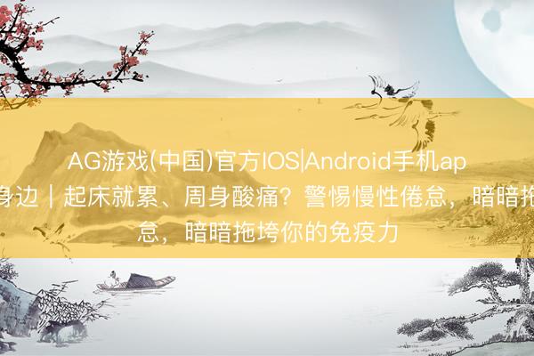 AG游戏(中国)官方IOS|Android手机app下载 家医在身边｜起床就累、周身酸痛？警惕慢性倦怠，暗暗拖垮你的免疫力