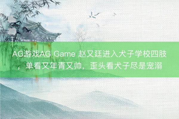 AG游戏AG Game 赵又廷进入犬子学校四肢，单看又年青又帅，歪头看犬子尽是宠溺