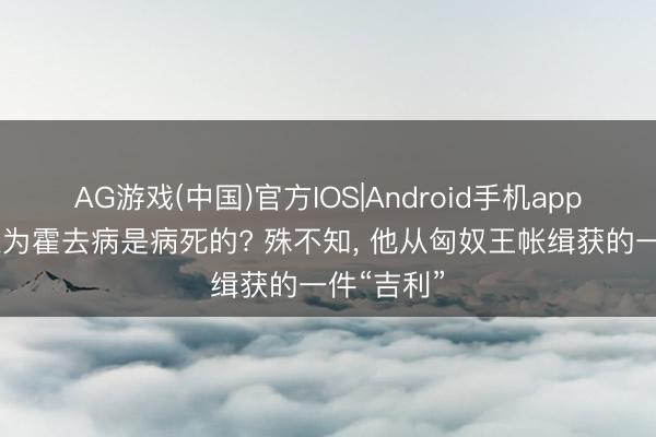 AG游戏(中国)官方IOS|Android手机app下载 齐以为霍去病是病死的? 殊不知， 他从匈奴王帐缉获的一件“吉利”