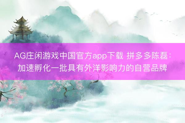 AG庄闲游戏中国官方app下载 拼多多陈磊：加速孵化一批具有外洋影响力的自营品牌