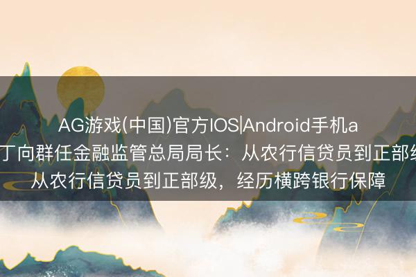 AG游戏(中国)官方IOS|Android手机app下载 首位女掌门！丁向群任金融监管总局局长：从农行信贷员到正部级，经历横跨银行保障