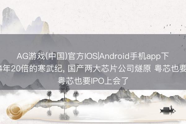 AG游戏(中国)官方IOS|Android手机app下载 错过了4年20倍的寒武纪， 国产两大芯片公司燧原 粤芯也要IPO上会了