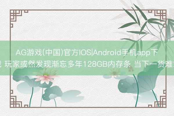 AG游戏(中国)官方IOS|Android手机app下载 玩家或然发现渐忘多年128GB内存条 当下一货难求
