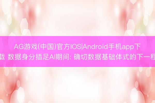 AG游戏(中国)官方IOS|Android手机app下载 数据身分插足AI期间: 确切数据基础体式的下一程