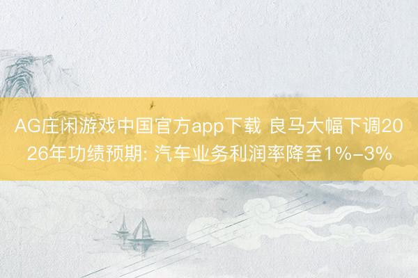 AG庄闲游戏中国官方app下载 良马大幅下调2026年功绩预期: 汽车业务利润率降至1%-3%